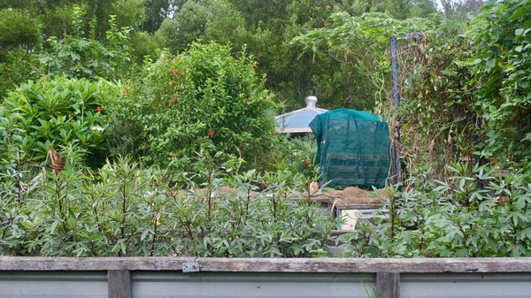 Comment utiliser la permaculture dans un petit jardin urbain pour accroître la biodiversité ?