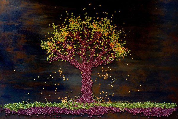 Quelles plantes pour un mur végétal intérieur dans un espace de vie moderne ?